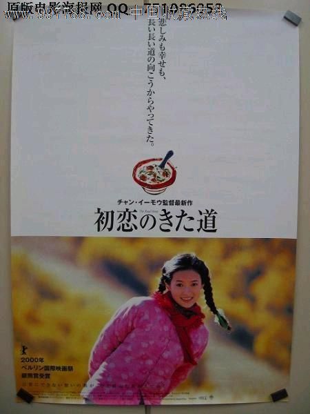 纽罕文大学文凭